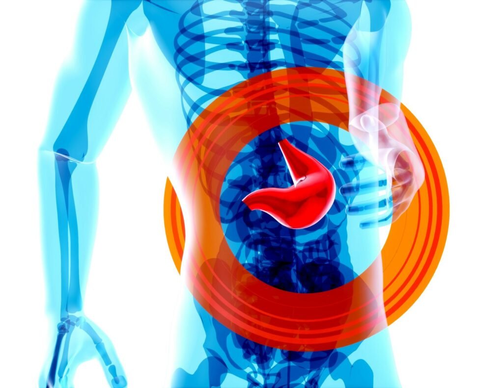 Illustration of stomach highlighted on a medical scan, representing gastric acid testing